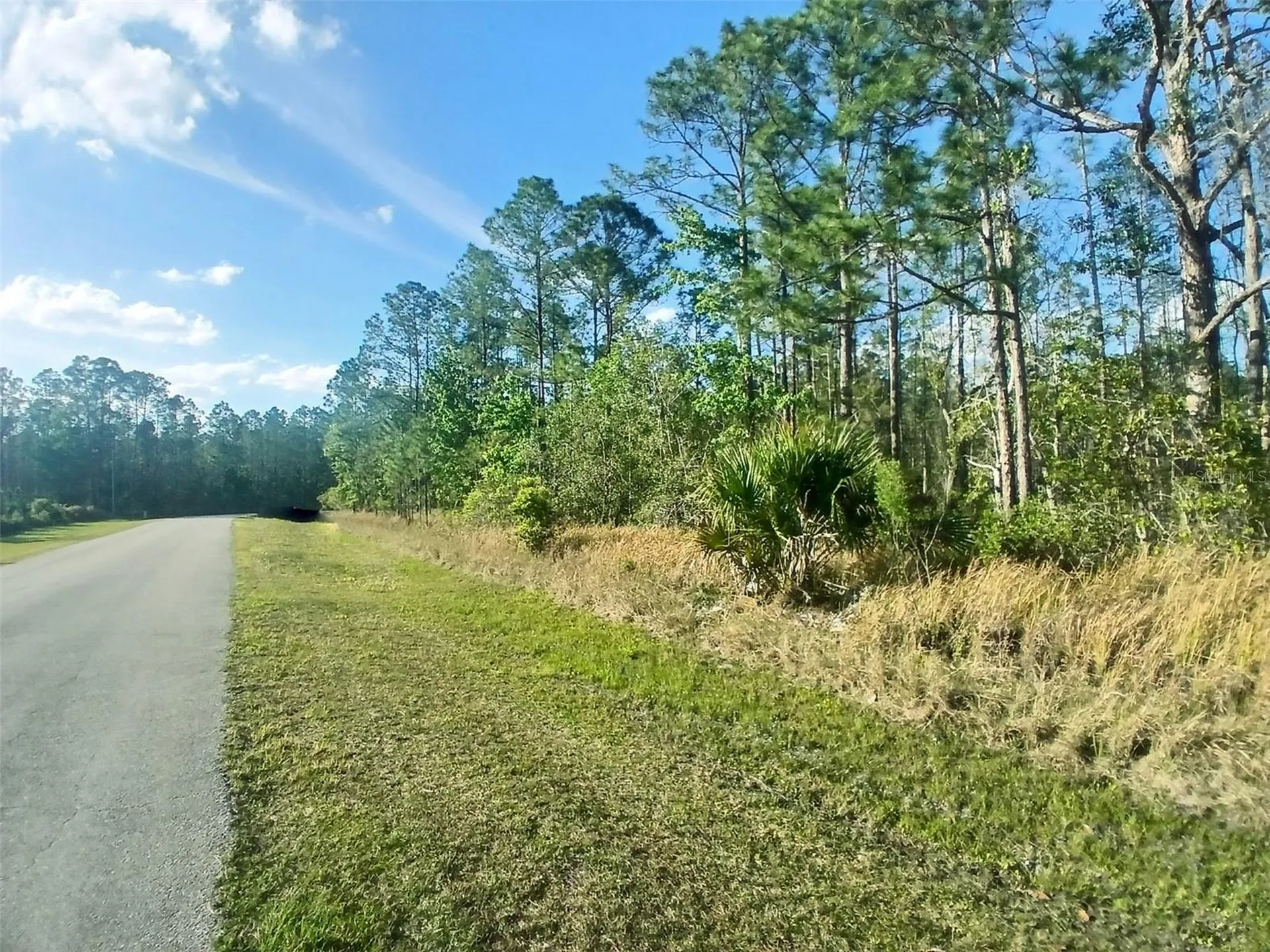 1102 Hidden Palms Drive Davenport FL 33897