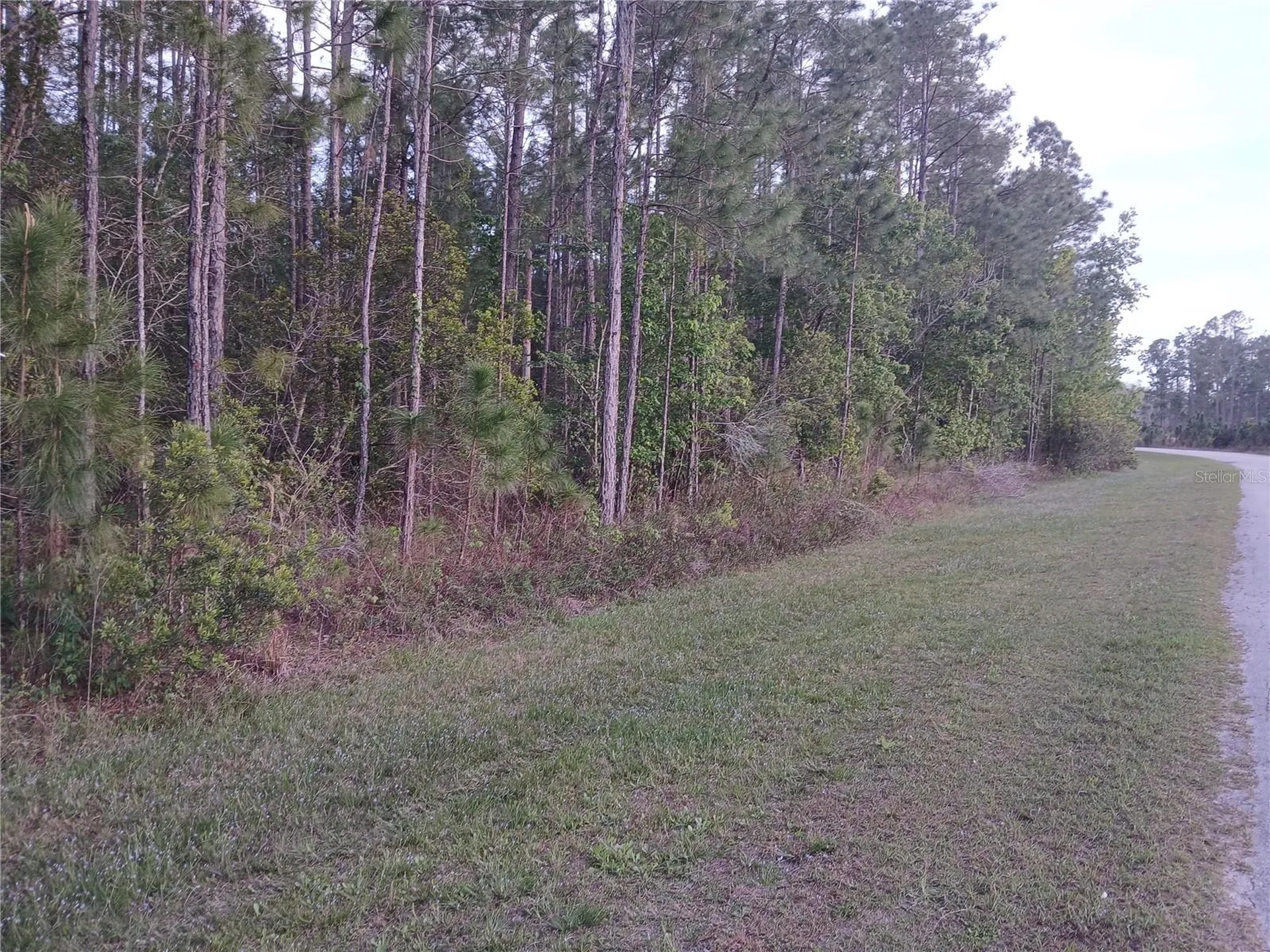 1102 Hidden Palms Drive Davenport FL 33897
