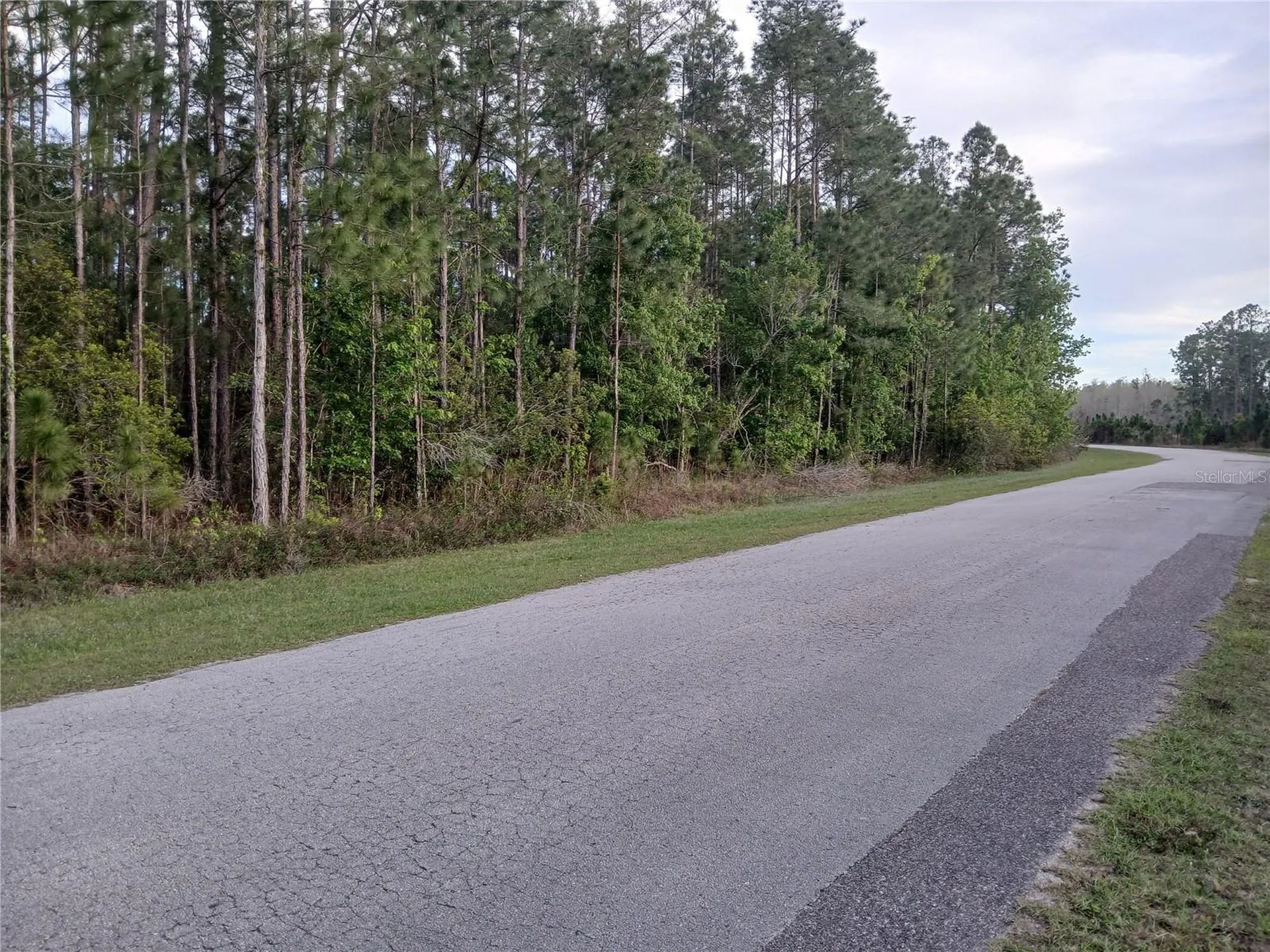 1102 Hidden Palms Drive Davenport FL 33897