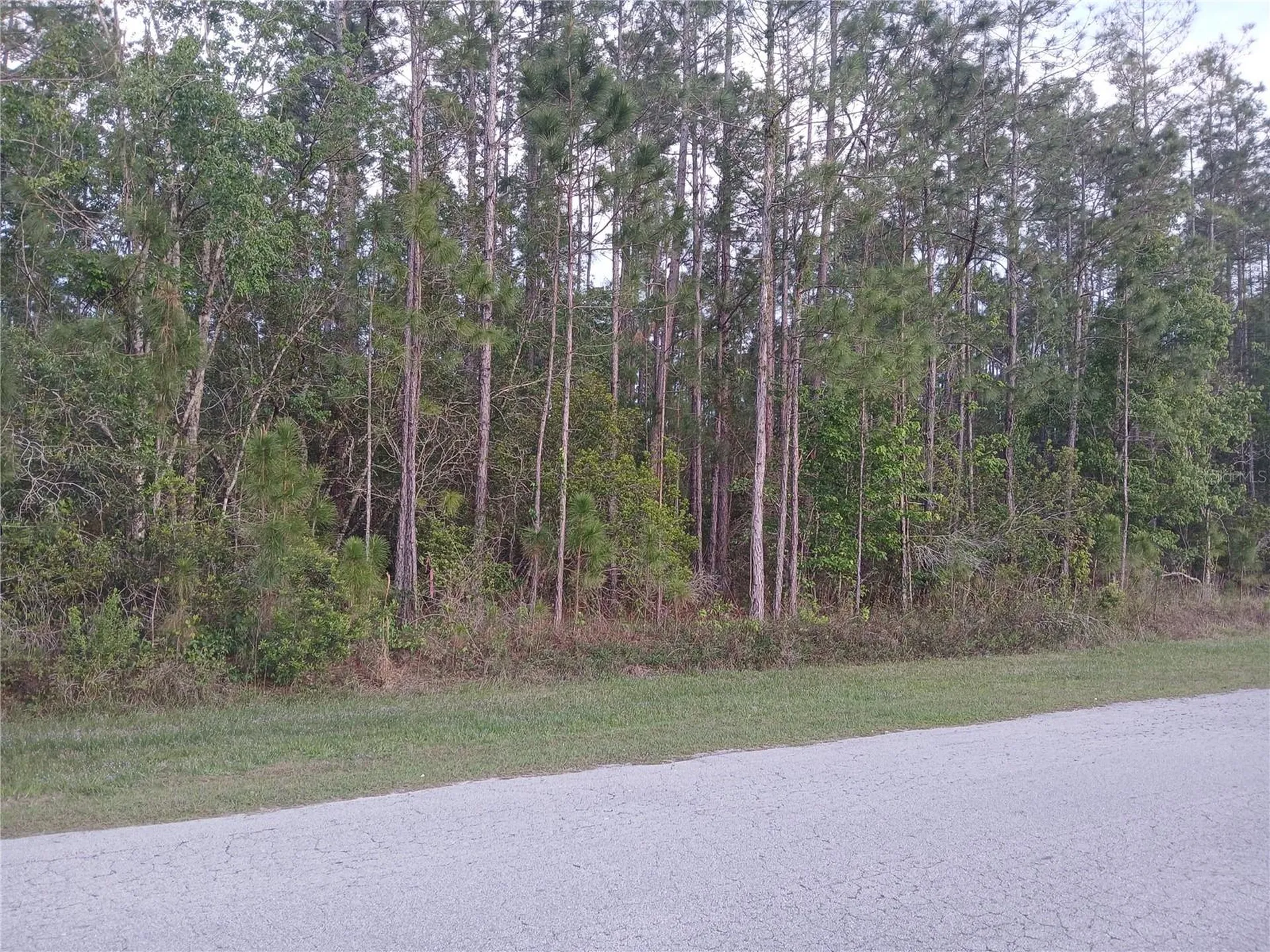 1102 Hidden Palms Drive Davenport FL 33897