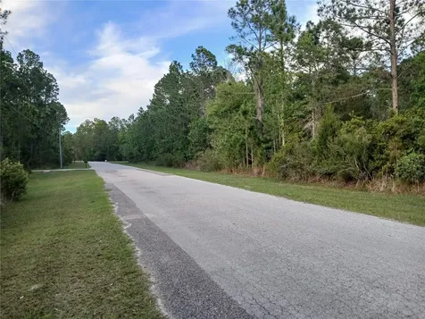 1102 Hidden Palms Drive Davenport FL 33897