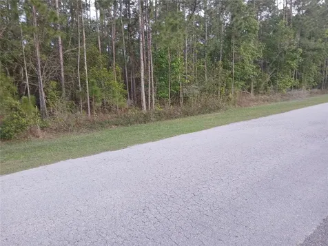 1102 Hidden Palms Drive Davenport FL 33897
