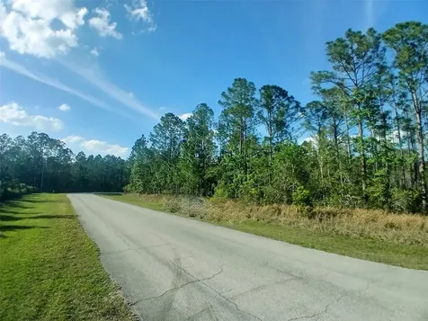 1102 Hidden Palms Drive Davenport FL 33897