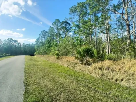 1102 Hidden Palms Drive Davenport FL 33897