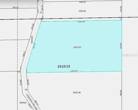 1102 Hidden Palms Drive Davenport FL 33897
