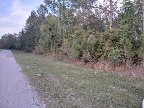 1102 Hidden Palms Drive Davenport FL 33897