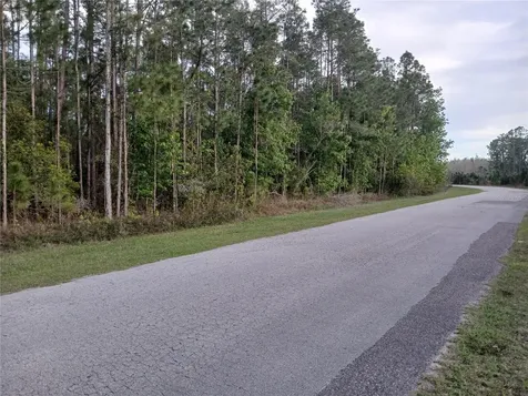 1102 Hidden Palms Drive Davenport FL 33897