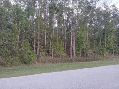 1102 Hidden Palms Drive Davenport FL 33897