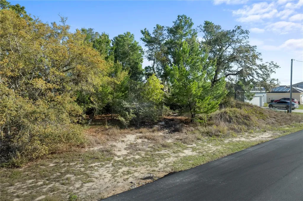 2017 Maple Lane Poinciana FL 34759