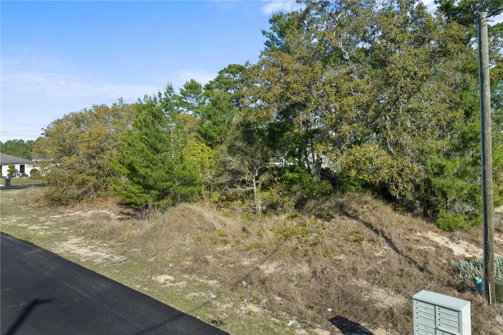 2017 Maple Lane Poinciana FL 34759