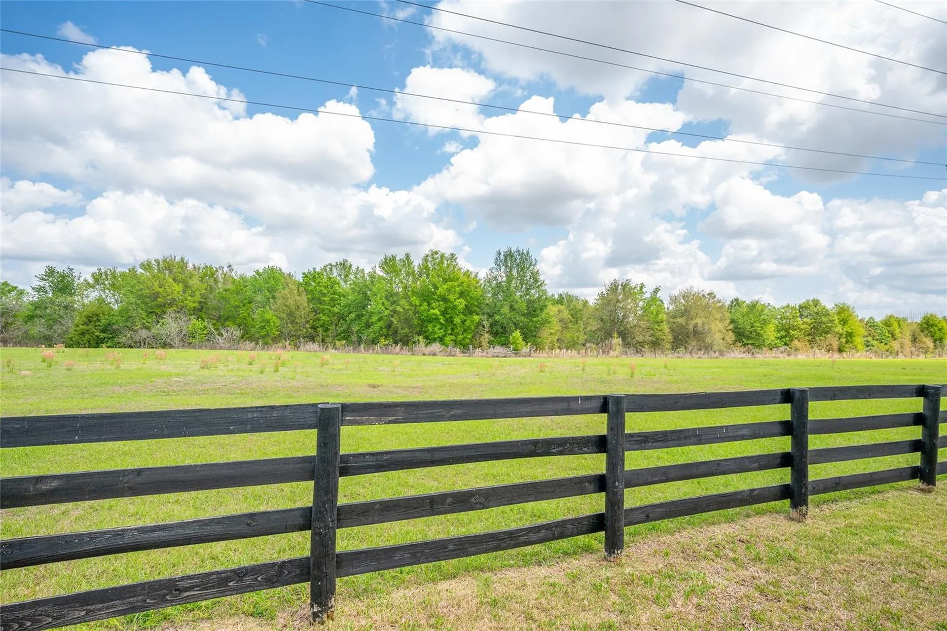 1647 Campos Drive The Villages FL 32162