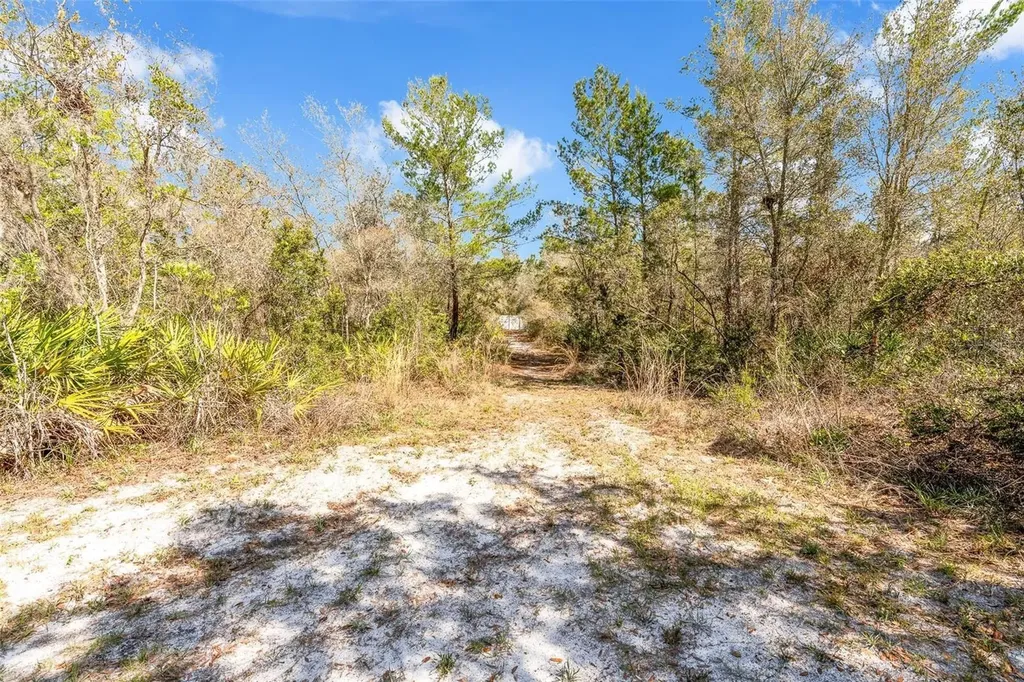 326 Enterprise Osteen Road Osteen FL 32764
