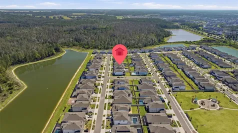 7792 Notched Pine Bend Wesley Chapel FL 33545