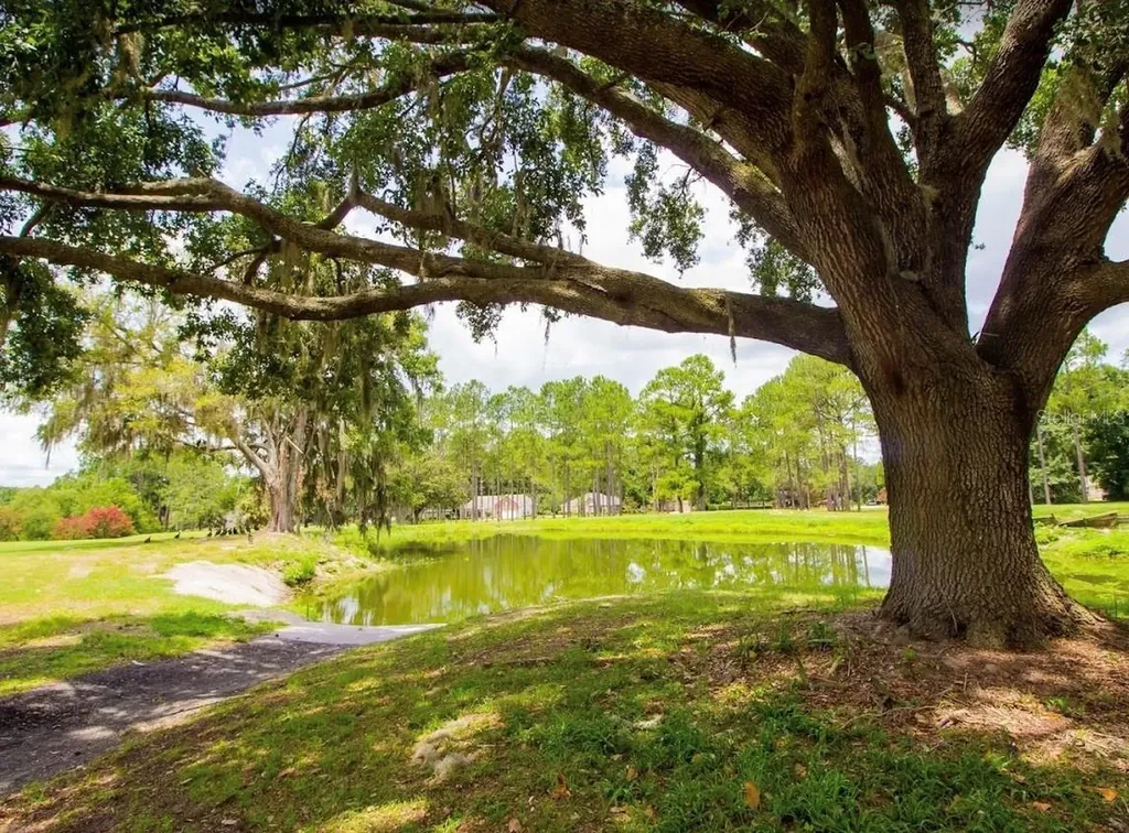 16865 NW 176th Way Alachua FL 32615
