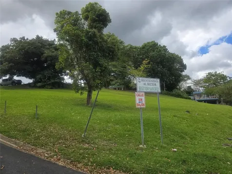 167R Sector Segundo Sánchez Bayamon PR 00956