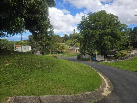 167R Sector Segundo Sánchez Bayamon PR 00956