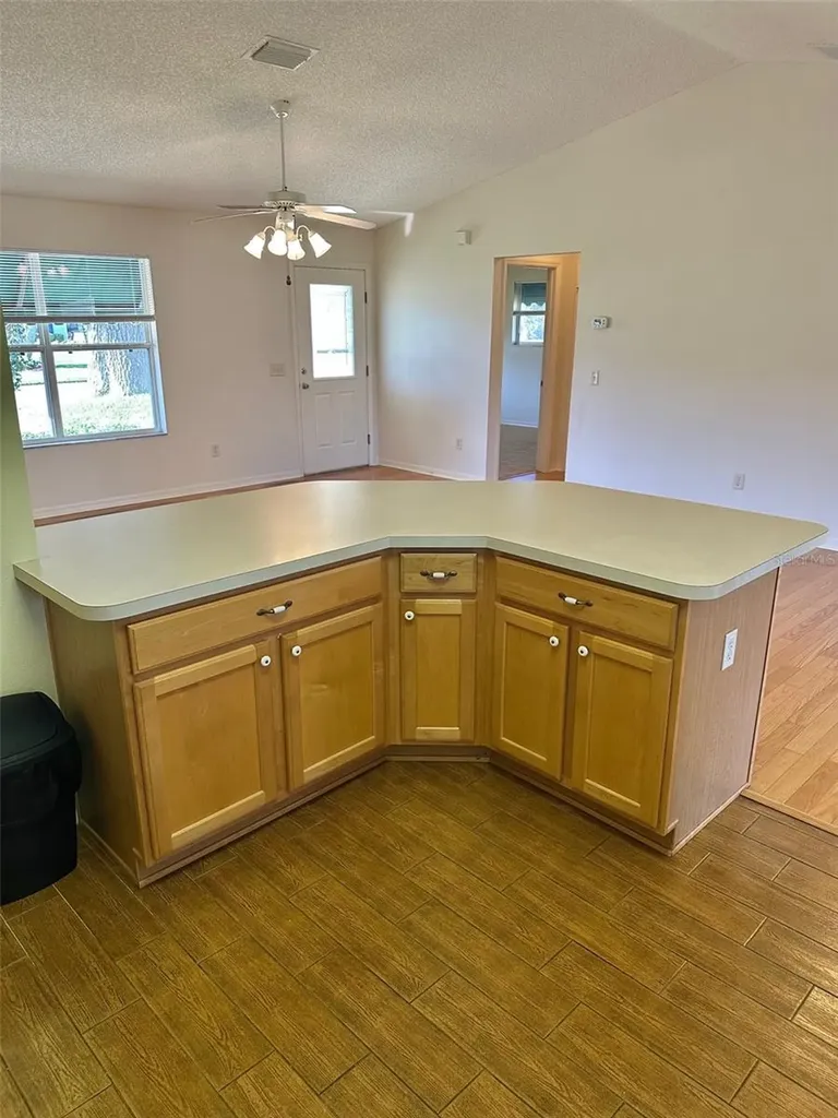 9230 SE 179th Wesley Street The Villages FL 32162