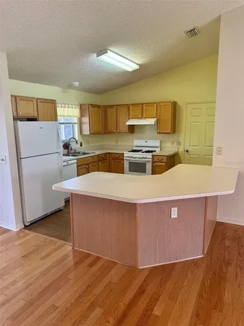 9230 SE 179th Wesley Street The Villages FL 32162