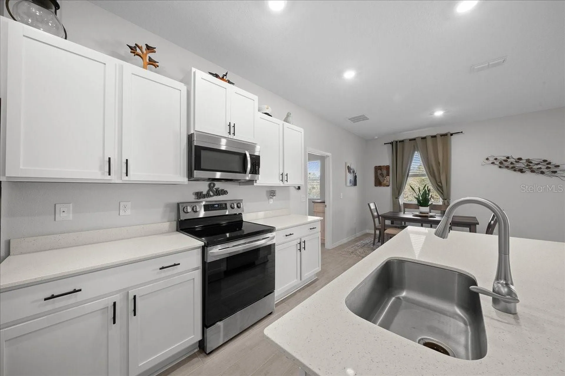 16195 SW 48th Circle Ocala FL 34473