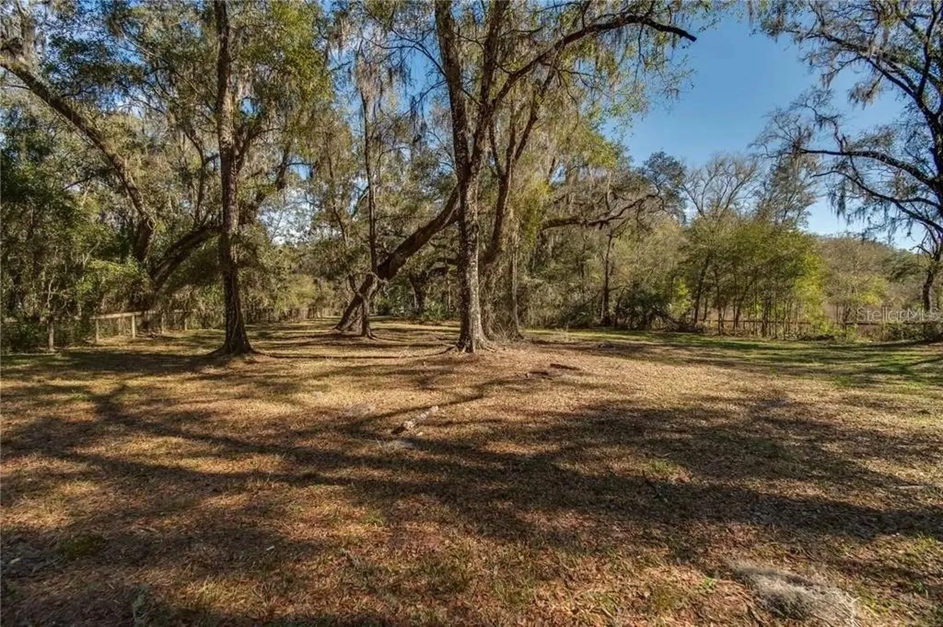 63 Lake Wood Circle Ocala FL 34482