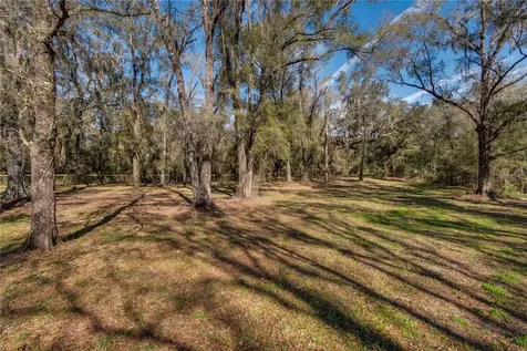 63 Lake Wood Circle Ocala FL 34482
