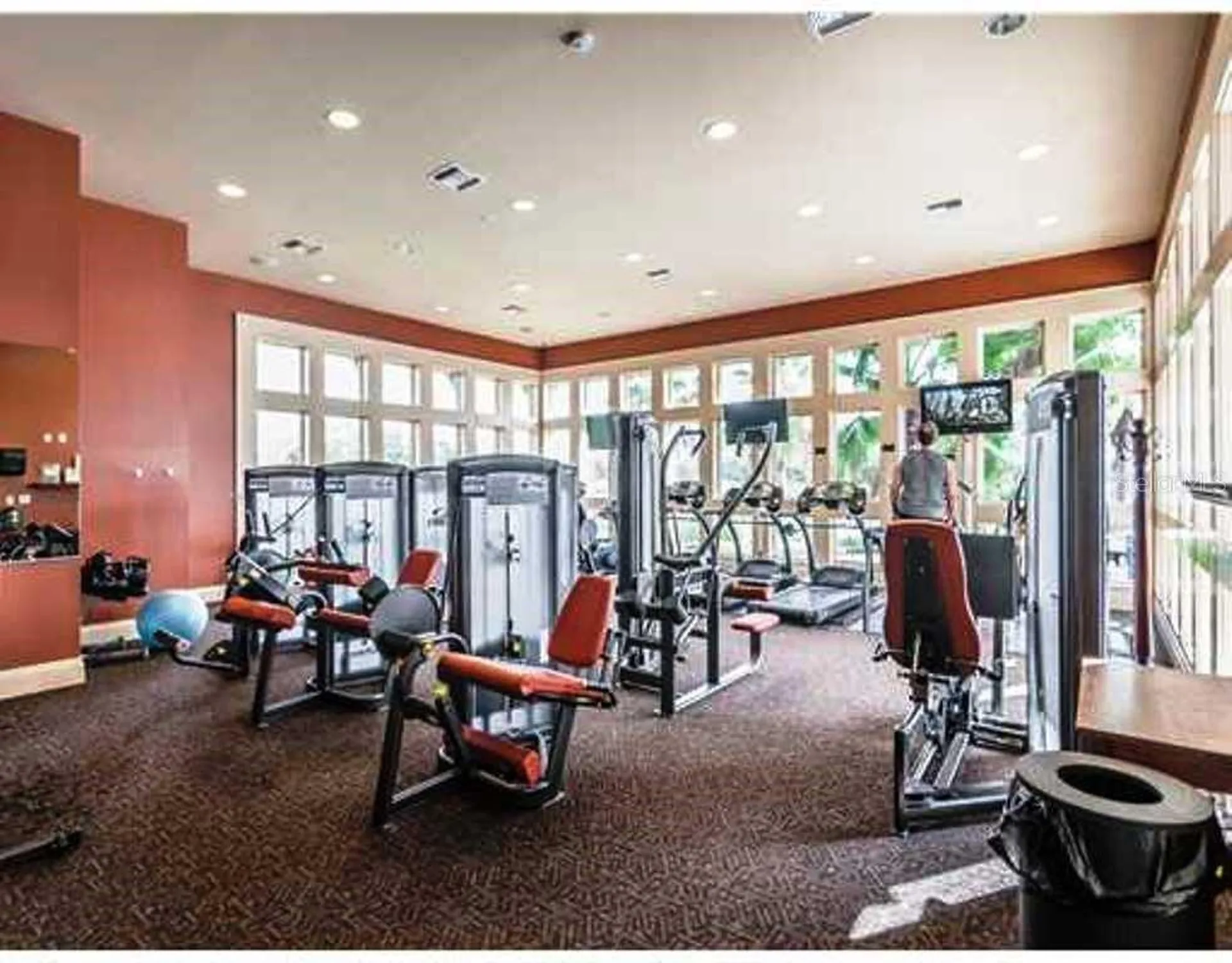 14606 Bournemouth Road Tampa FL 33626