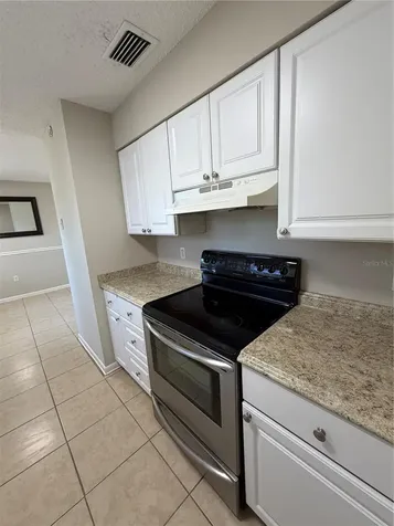 709 Lewis Street Fruitland Park FL 34731