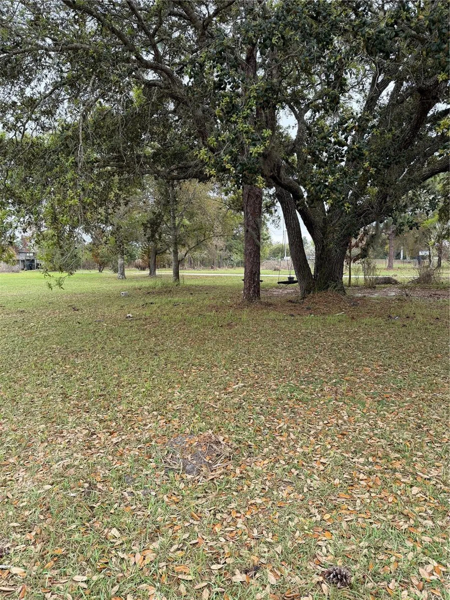 3811 Bancroft Boulevard Orlando FL 32833
