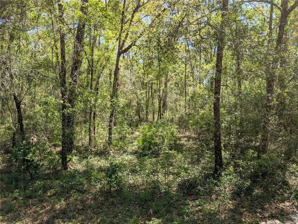 8174 Adrian Drive Brooksville FL 34613