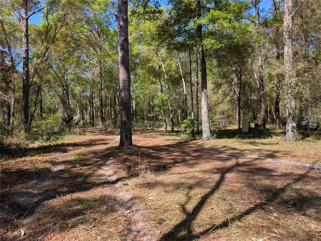 8174 Adrian Drive Brooksville FL 34613