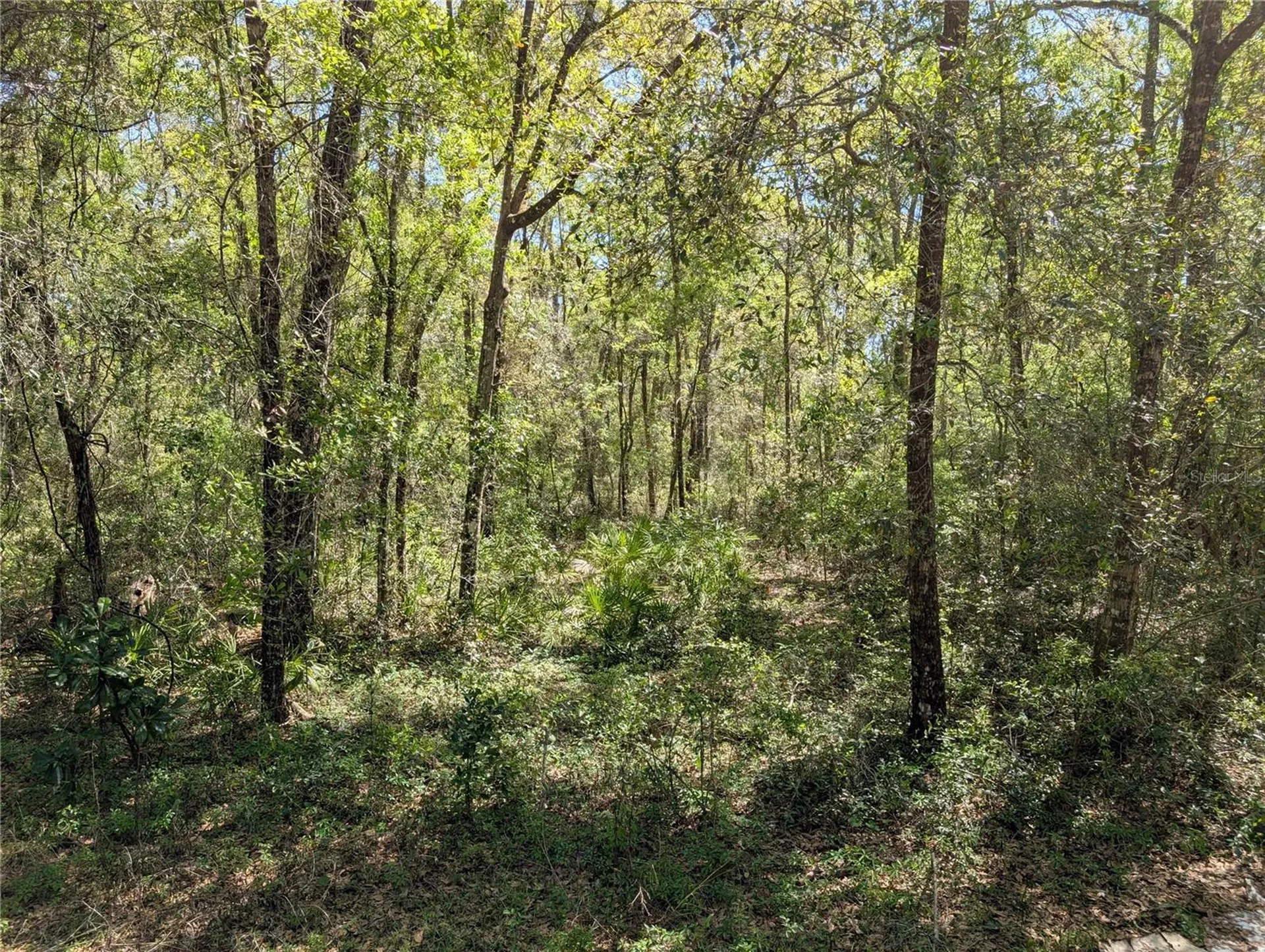 8174 Adrian Drive Brooksville FL 34613