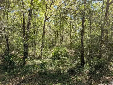 8174 Adrian Drive Brooksville FL 34613