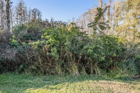 1827 Hammocks Avenue Lutz FL 33549