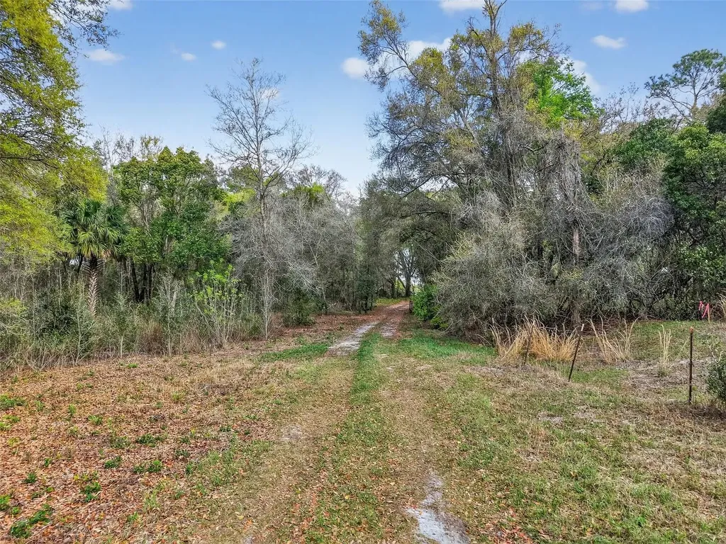 Island Pond Lane Eustis FL 32736