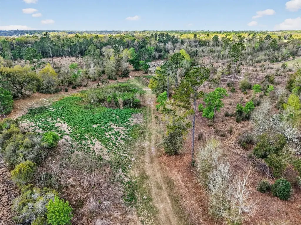 Island Pond Lane Eustis FL 32736