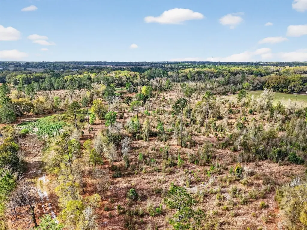 Island Pond Lane Eustis FL 32736