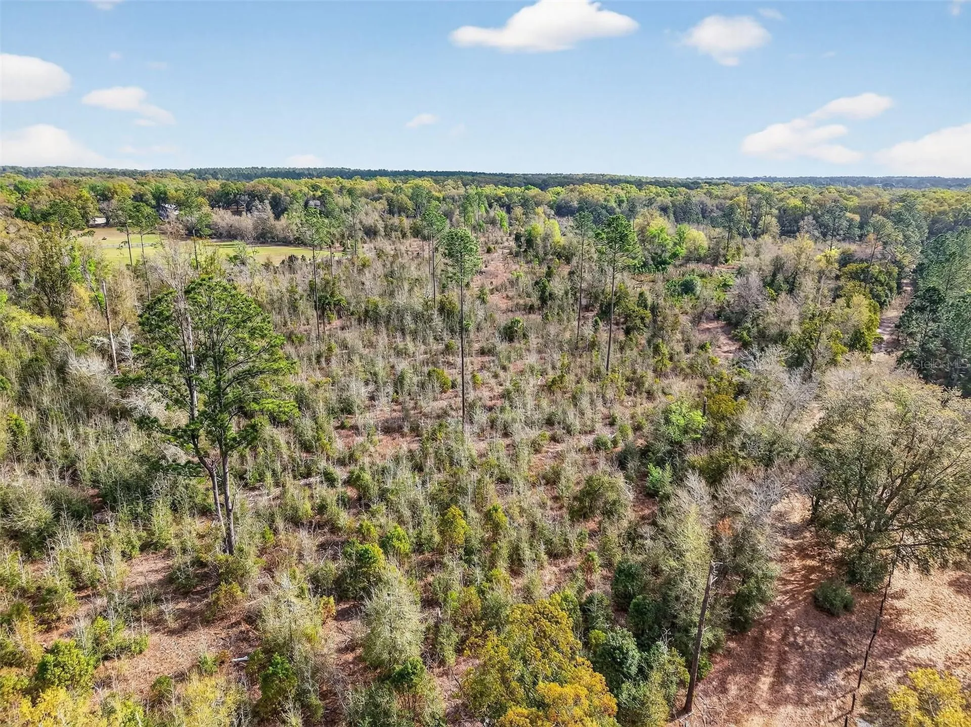 Island Pond Lane Eustis FL 32736