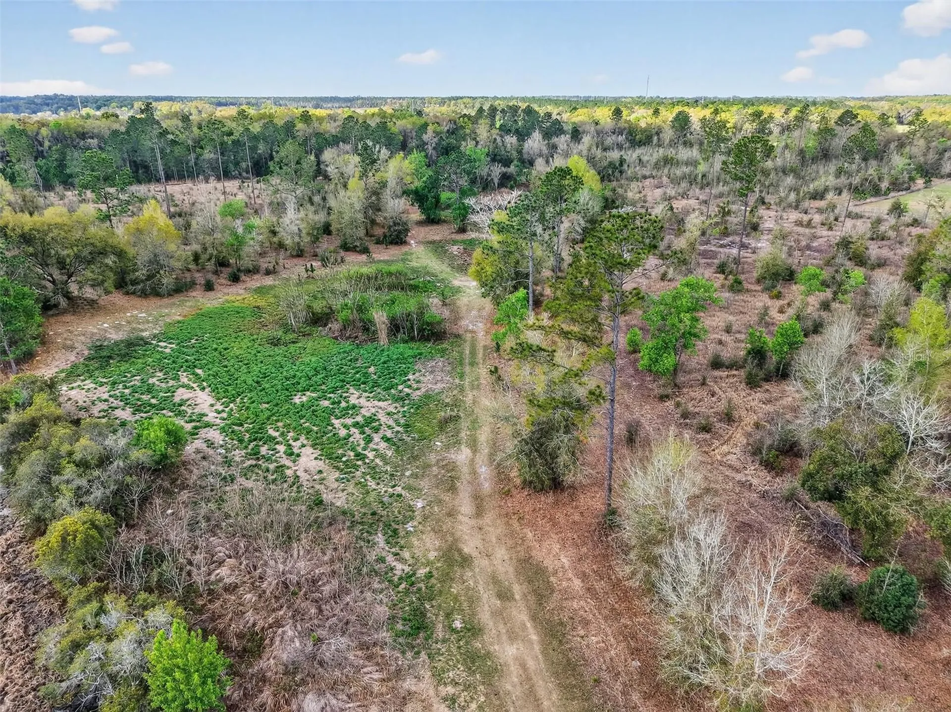 Island Pond Lane Eustis FL 32736