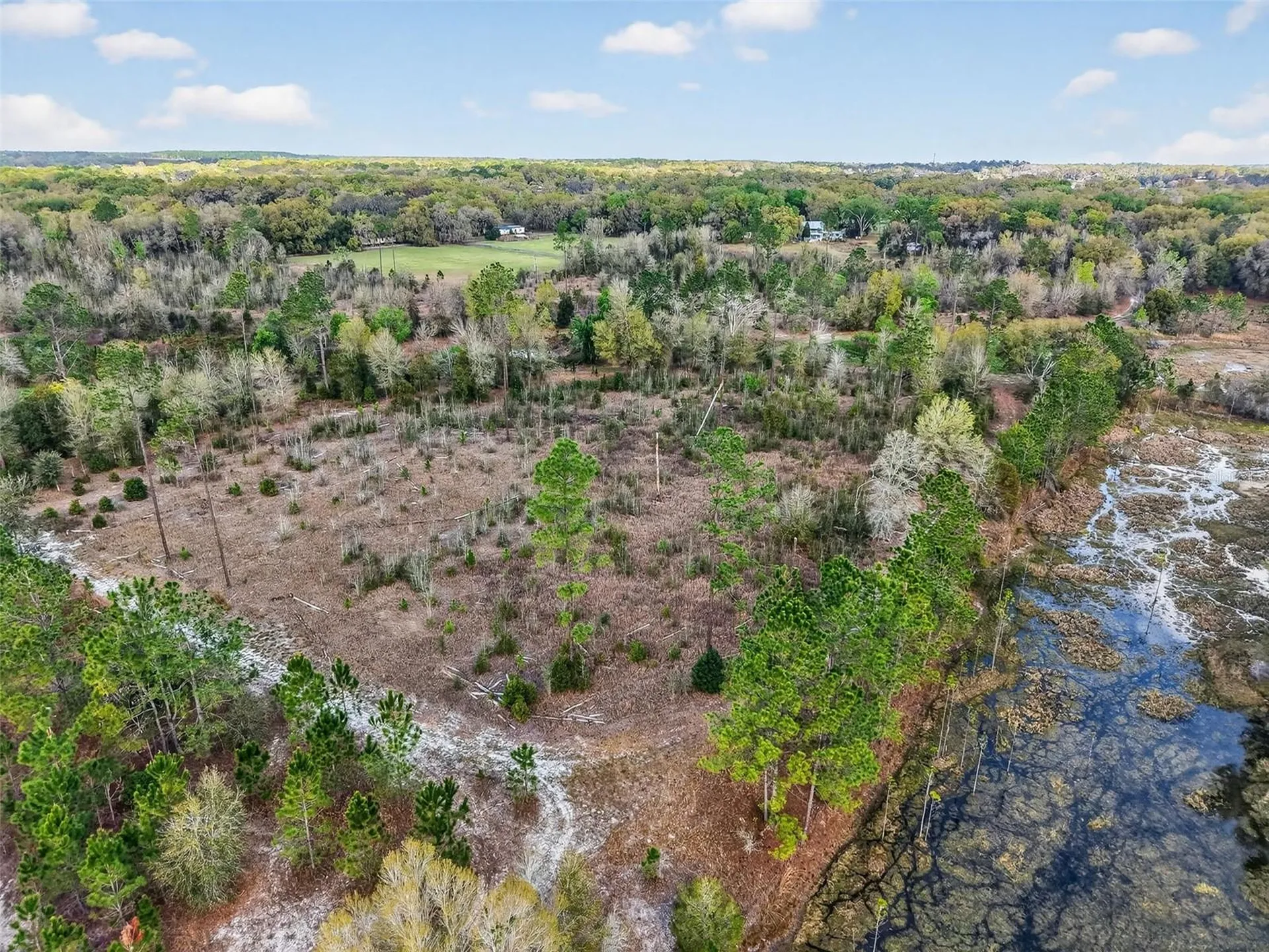 Island Pond Lane Eustis FL 32736