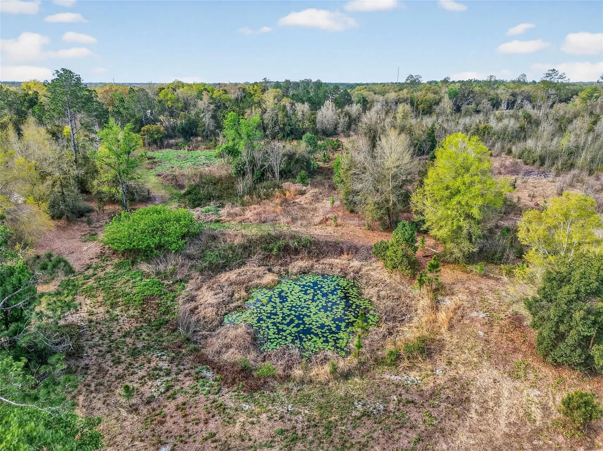 Island Pond Lane Eustis FL 32736