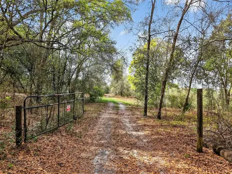Island Pond Lane Eustis FL 32736