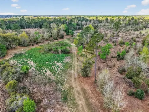 Island Pond Lane Eustis FL 32736