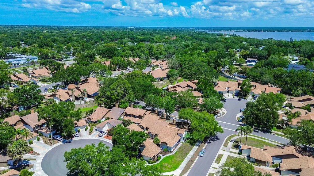 215 Lighthouse Court Safety Harbor FL 34695