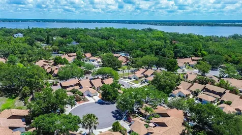 215 Lighthouse Court Safety Harbor FL 34695