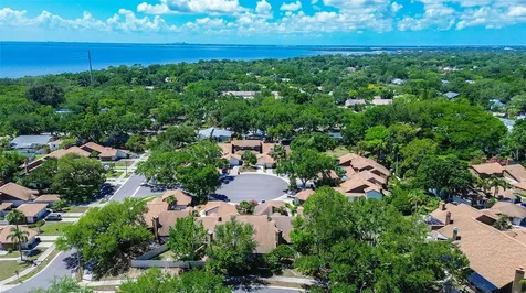215 Lighthouse Court Safety Harbor FL 34695