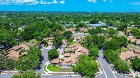 215 Lighthouse Court Safety Harbor FL 34695