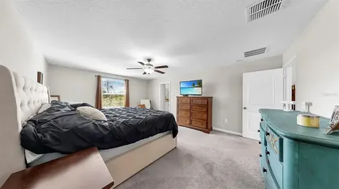 12841 Wildflower Meadow Drive Riverview FL 33579