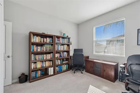 9845 Shoreline View Way Wesley Chapel FL 33545