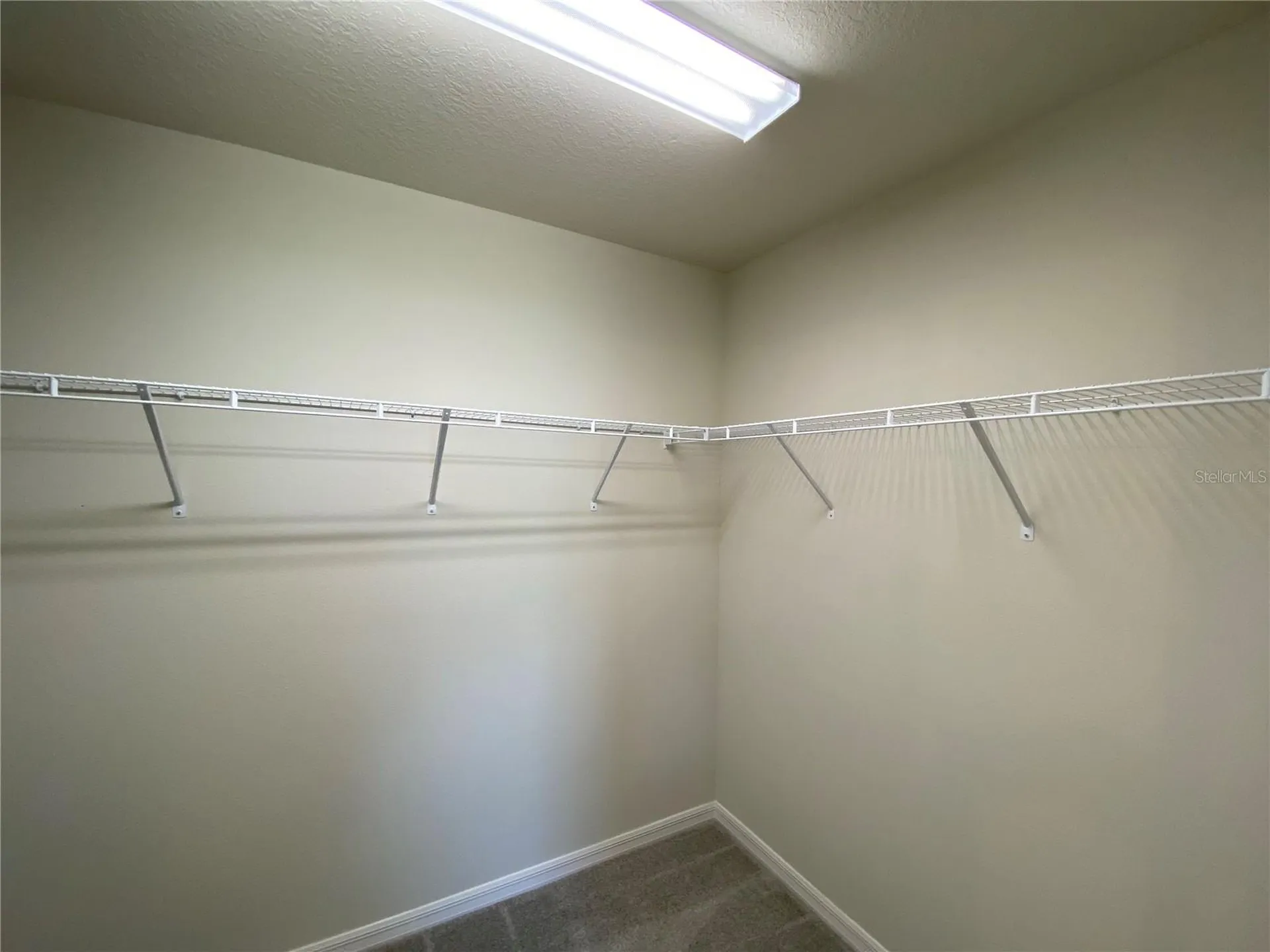 8180 N Wakefield Drive Citrus Springs FL 34434
