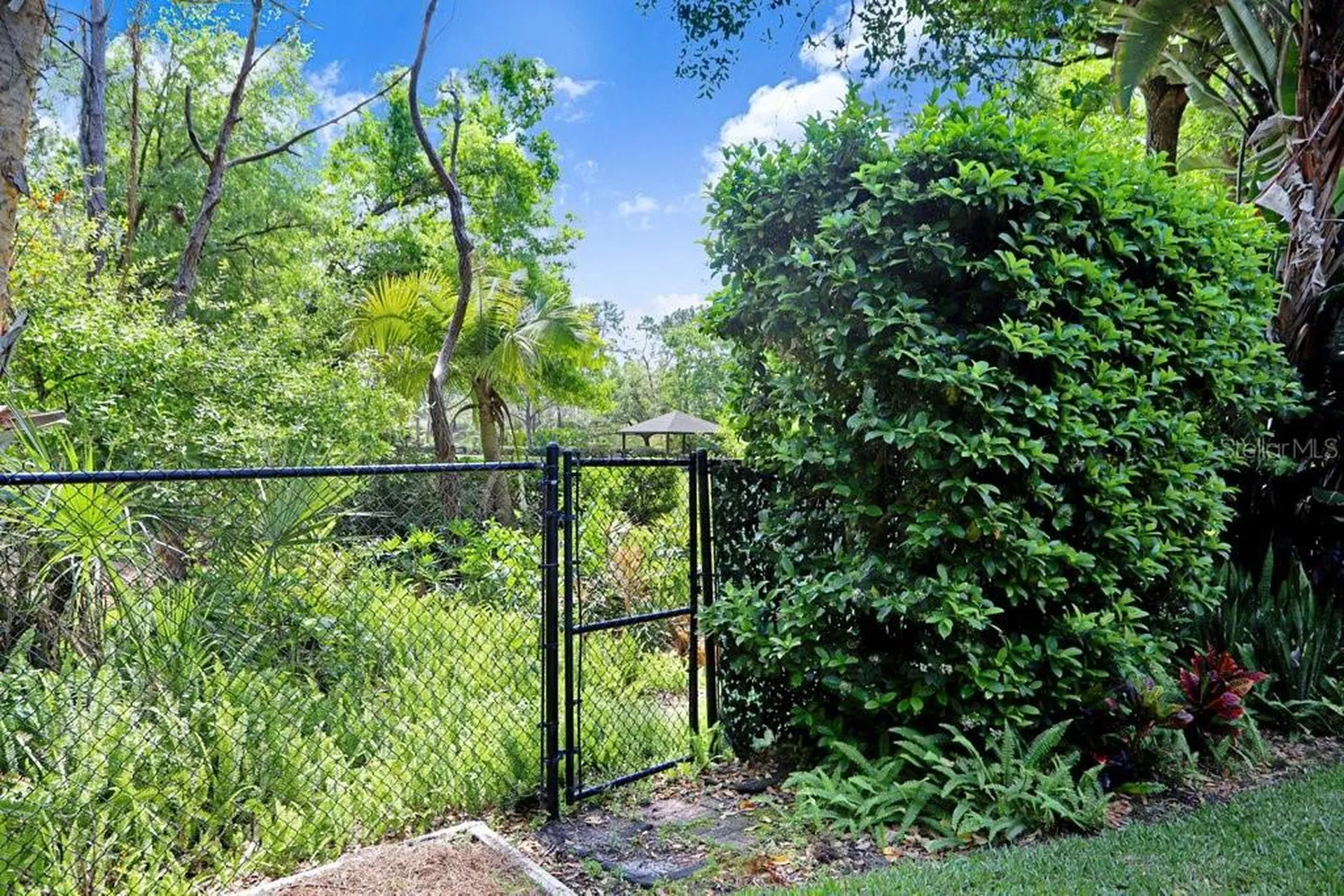 10201 Millport Drive Tampa FL 33626